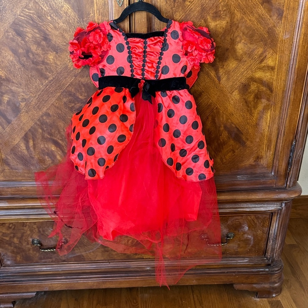 Red and Black Polka Dot Ladybug Costume Dress for 2-3T